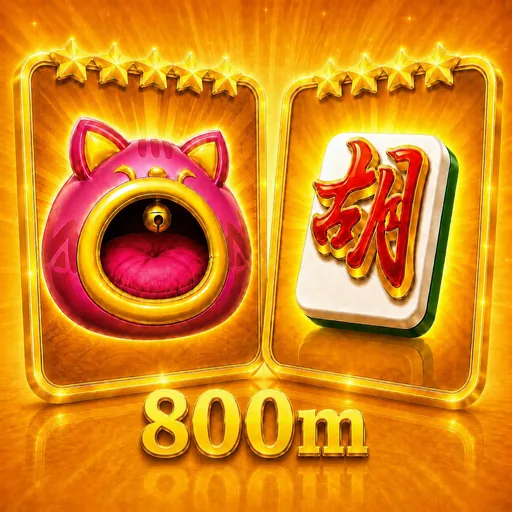 800M KARTU